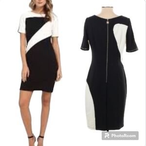 Ellen Tracy Colorblock Mod Sheath Dress
